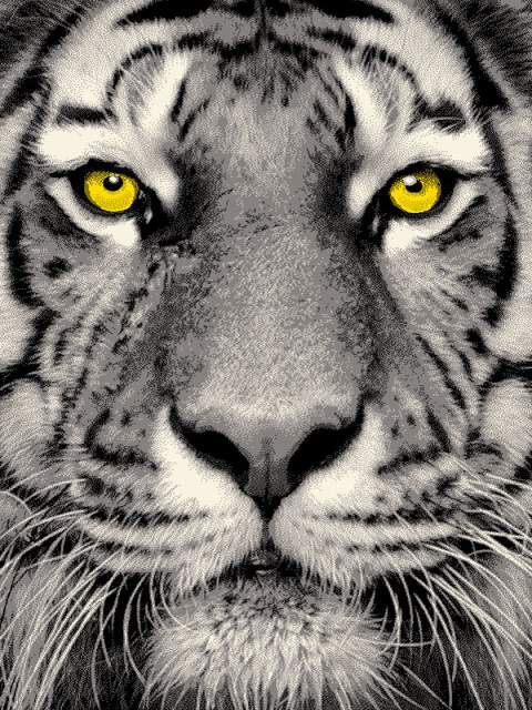 Ковры дизайн 20765 цвет 22045